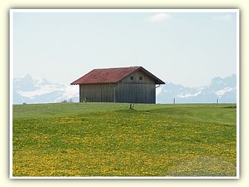 Blick über unsere Wiesen zu den Alpen