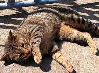 In der Sonne lässt sich's aushalten